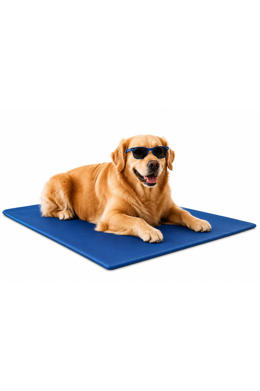Pet Cooling Mat 90x50 cm, Covor Racoritor pentru Caini, Gel Auto-Racire, Non Toxic, Reutilizabil, Albastru