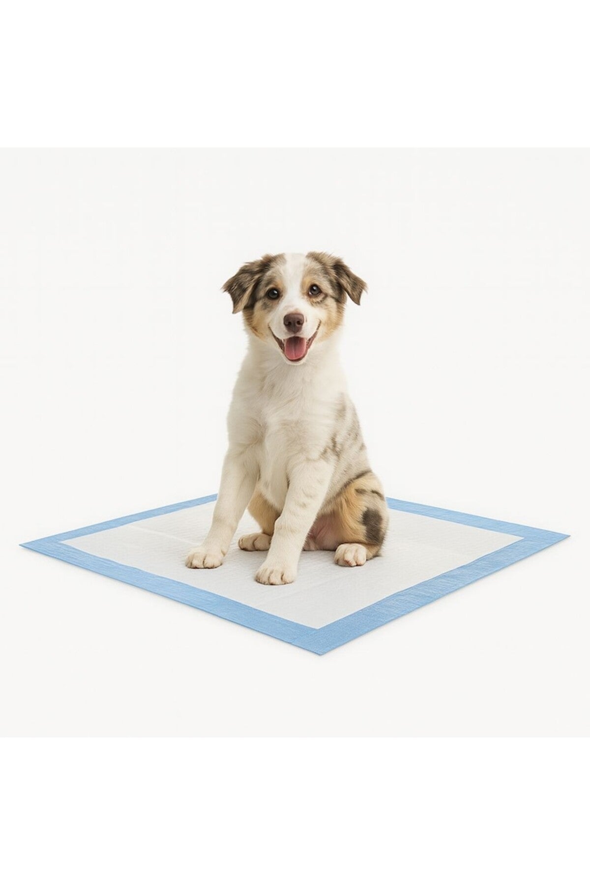 Tampoane absorbante de dresaj, 60x90 cm, 5 buc., pentru câini, pisici și alte animale de companie